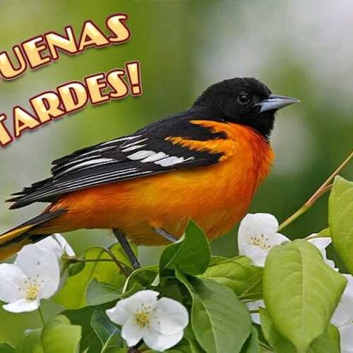 Foto extra 1