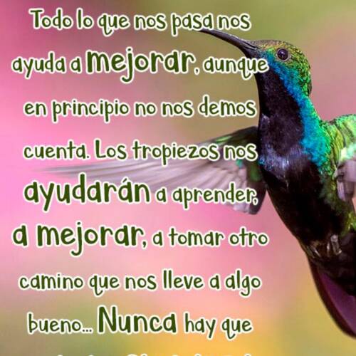 Foto extra 2