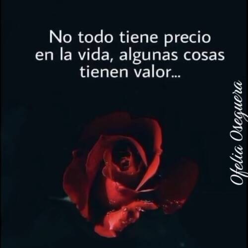 Foto extra 1
