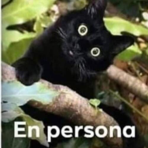 Foto extra 5