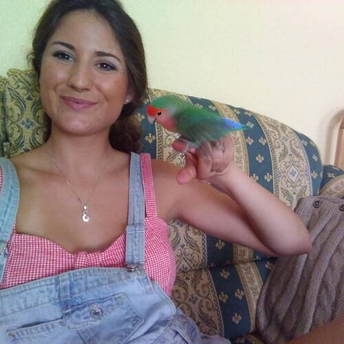 Foto extra 1