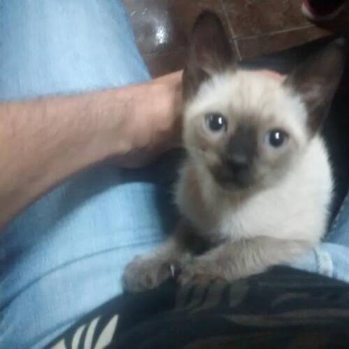 Foto extra 1
