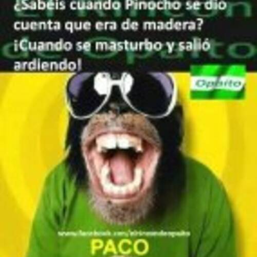 Foto extra 4