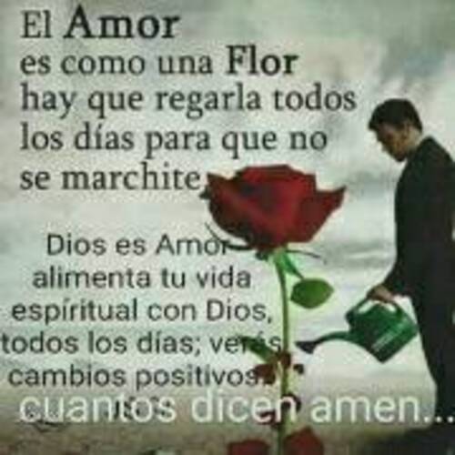 Foto extra 4