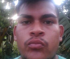 roseflorez