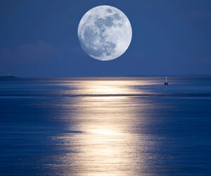 Moonlighting