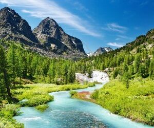 Nature