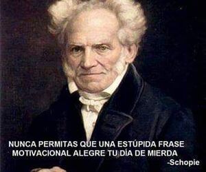 Draco