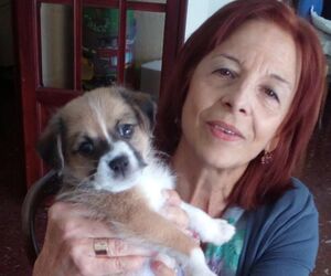 Maria jose