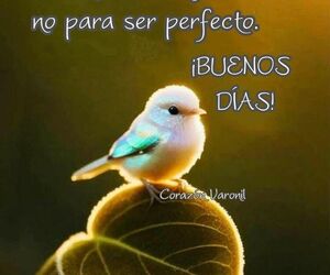 Davidv