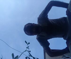 carlos