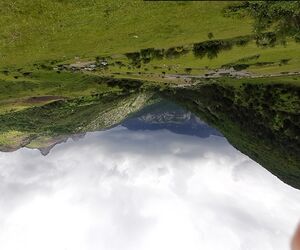 Luisa