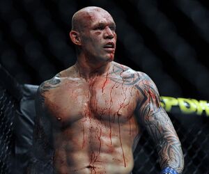 Alfquimista