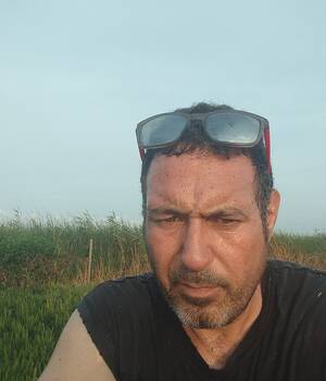 David