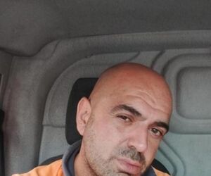 David