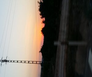 Luisete