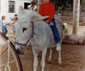 Xaro Roselló 