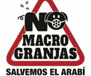 Juanma Mora Ca