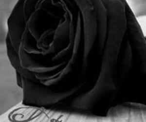 Ivonne HM