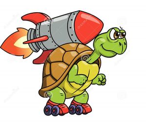 tortugaveloz