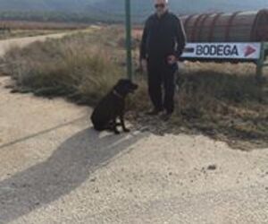 Paco Calabuig