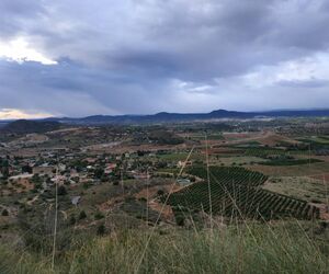 Pere