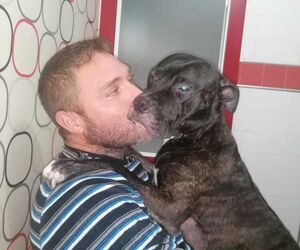 Jano