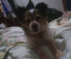 Jose Luis Alfa