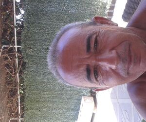 jacinto
