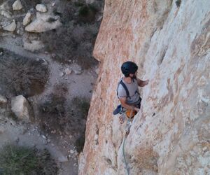 Jacopo