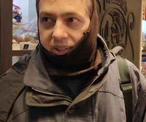 david
