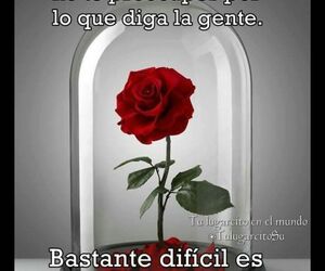 Montse