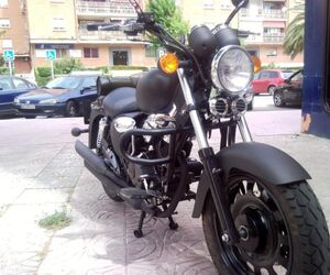 Ferox