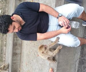 Hakim