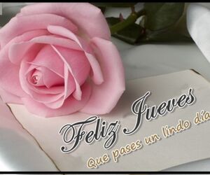 Jose Francisco