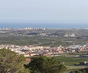 Joku