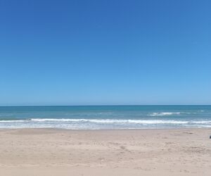 Yolanda