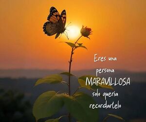 Karol