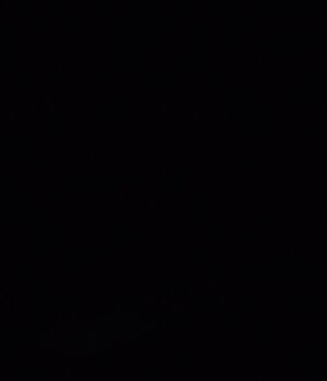 Pedro