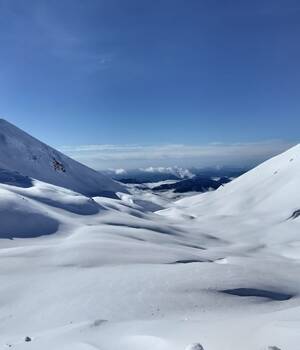 Amparo