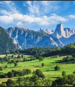Natur