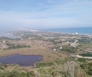 Alxvlc75