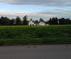 Aramosa
