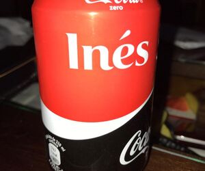 Ines