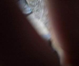 Pipe