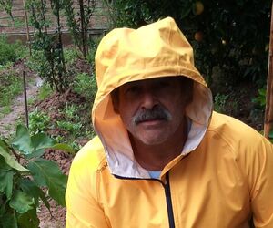Luis Fernando