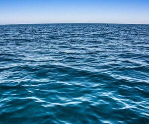 Marta