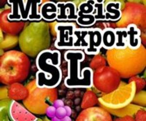 Mengis Impex