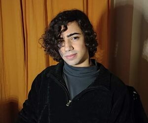 aaron hdi zome
