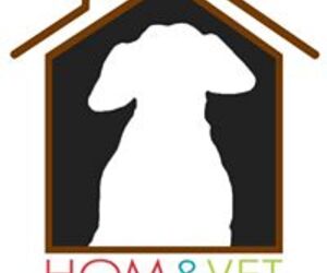 Home Vet